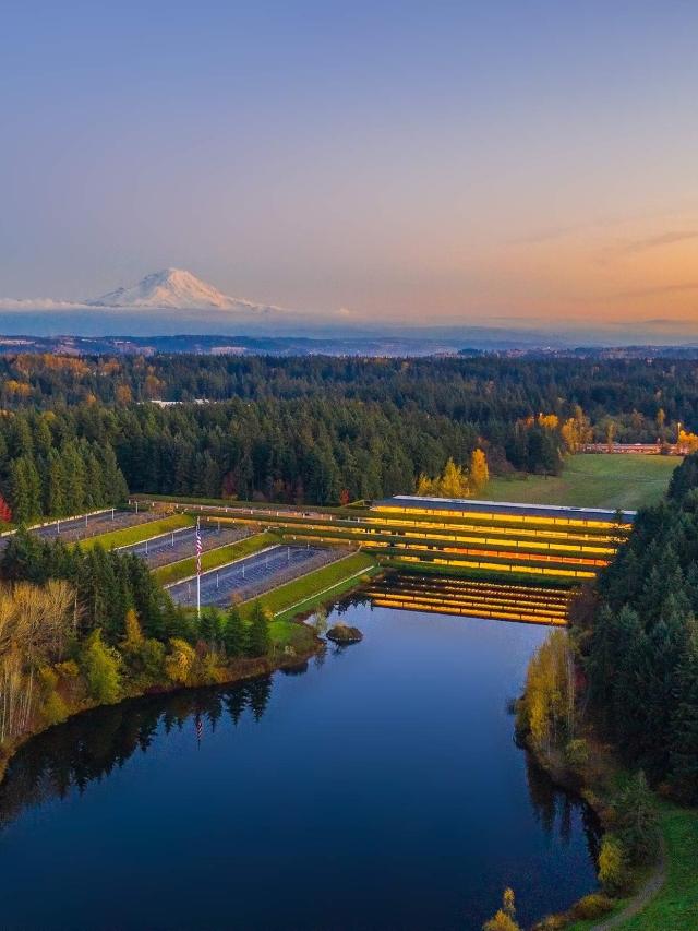 Sunset looking across the Woodbridge Park (formerly Weyerhaeuser Corporate HQ) with Mt. Rainier in the distance