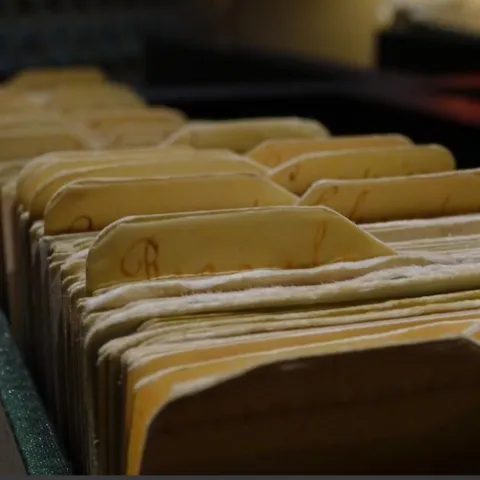 Folders in filing cabinet