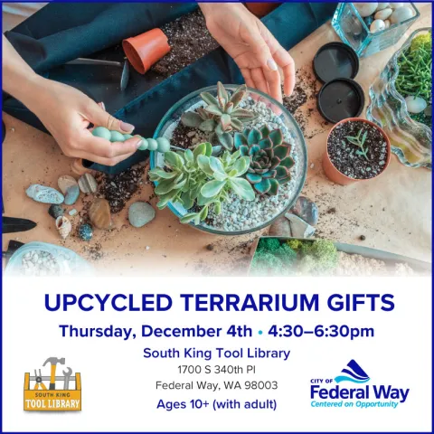 an image depicting terrarium flyer