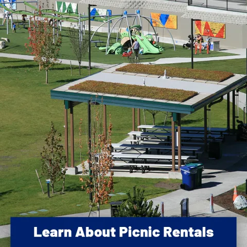 Covered picnic shelter with tables in a park, with a playground and children playing in the background. Button that says "Learn Abour Picnic Rentals"