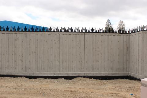 Wall 4